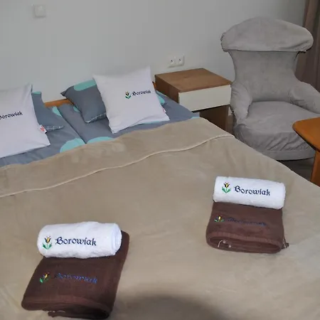 منزل للإقامة Borowiak *