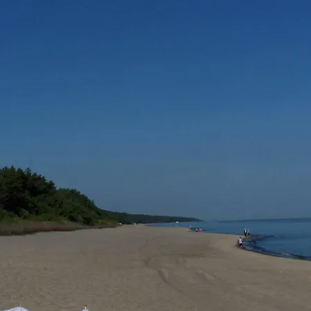 Borowiak