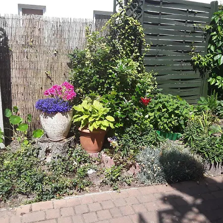 Borowiak ホームステイ *